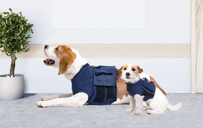 MPS - Veterinary Range Shirt 4 in 1 DOG