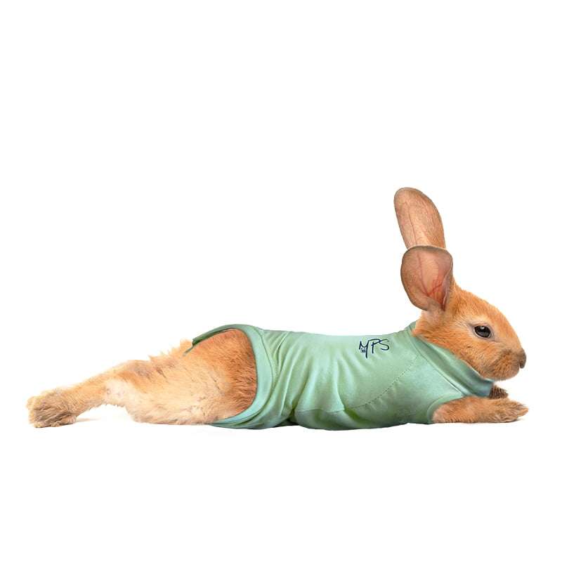 MPS - Veterinary Range Shirt Rabbit