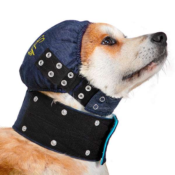 MPS - Veterinary Range Head DOG