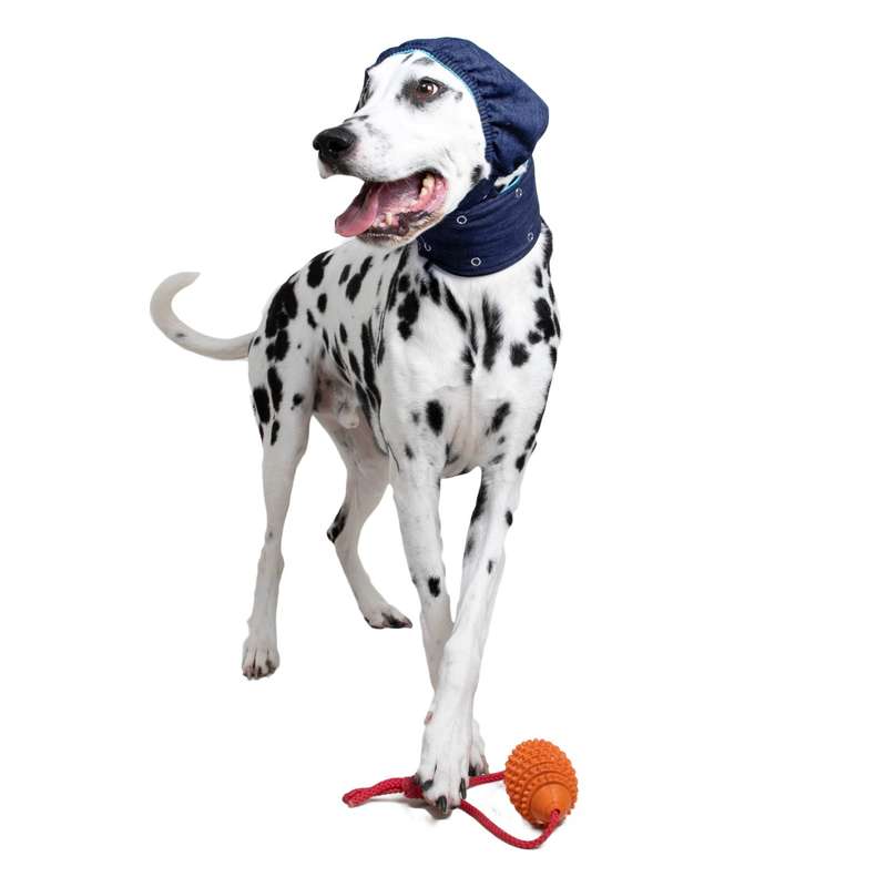 MPS - Veterinary Range Head DOG