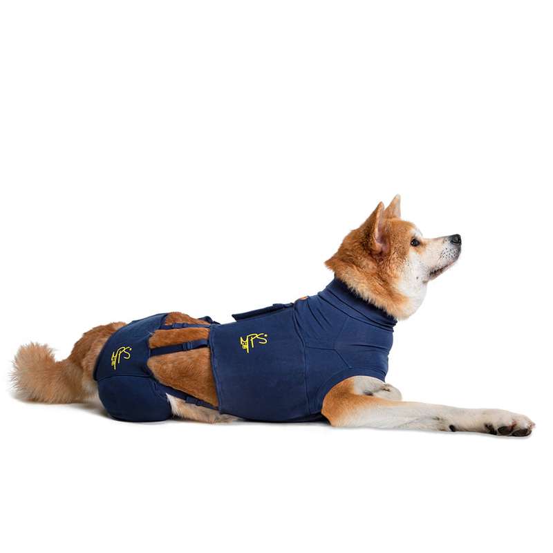 MPS - Veterinary Range Hind Leg Sleeves DOG