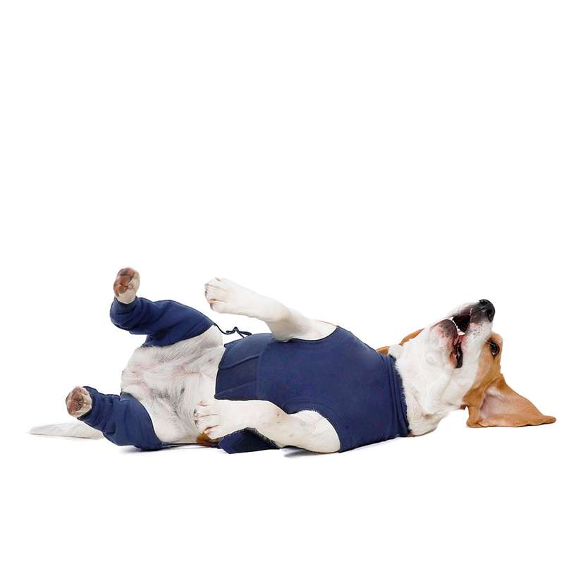 MPS - Veterinary Range Hind Leg Sleeves DOG