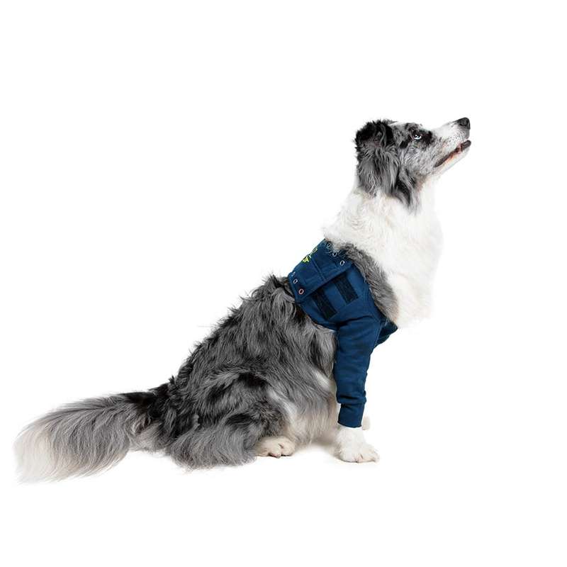MPS - Veterinary Range Single Sleeve DOG