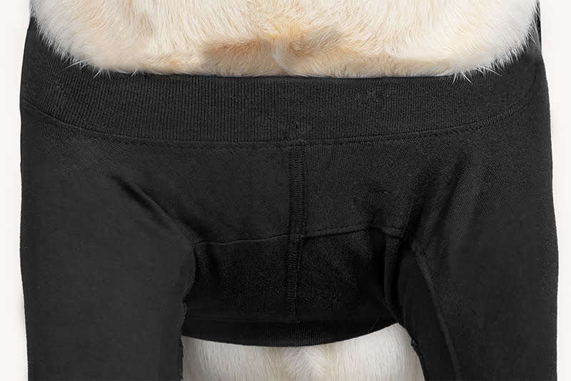Suitical - at home Recovery Double Sleeve - DOG