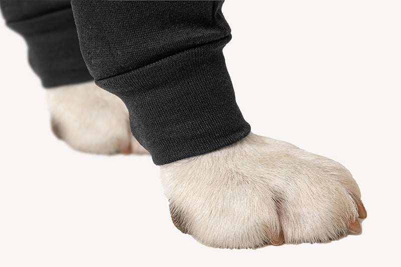 Suitical - at home Recovery Double Sleeve - DOG