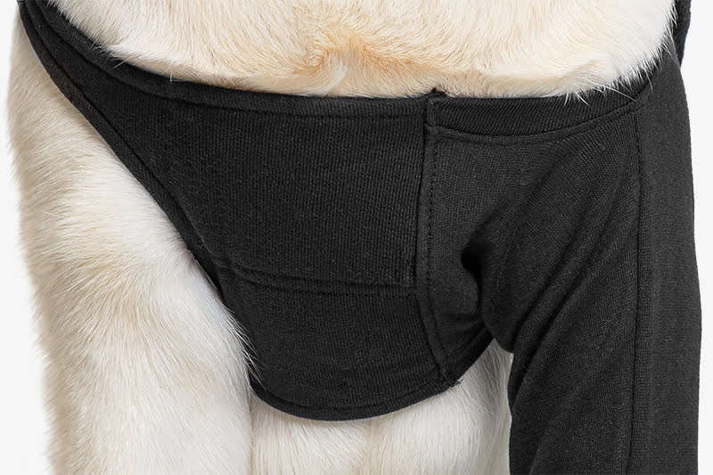 Suitical - at home Recovery Sleeve - DOG