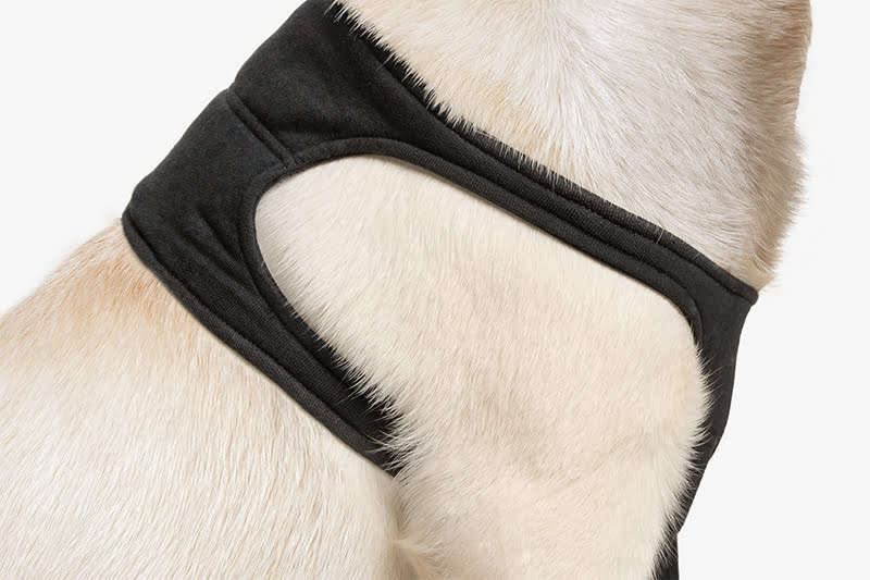 Suitical - at home Recovery Sleeve - DOG