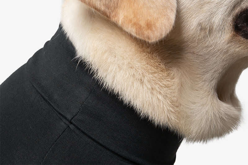 Suitical - At home Recovery Suit - DOG