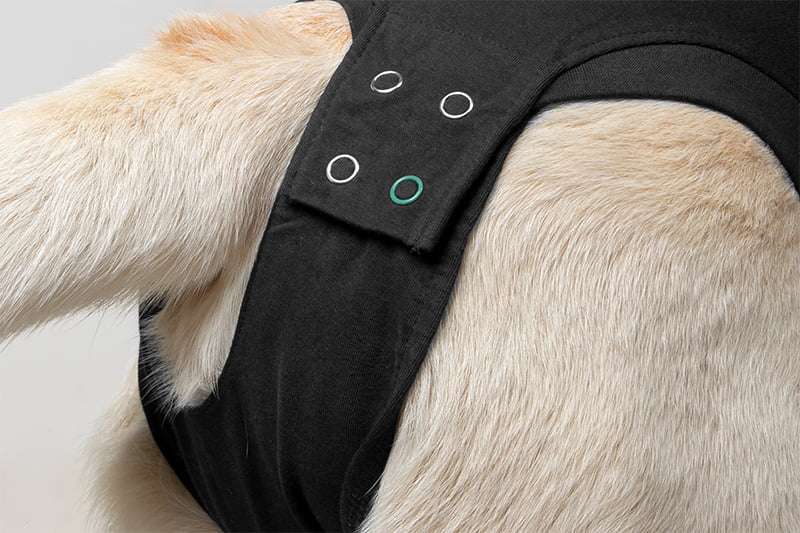 Suitical - At home Recovery Suit - DOG
