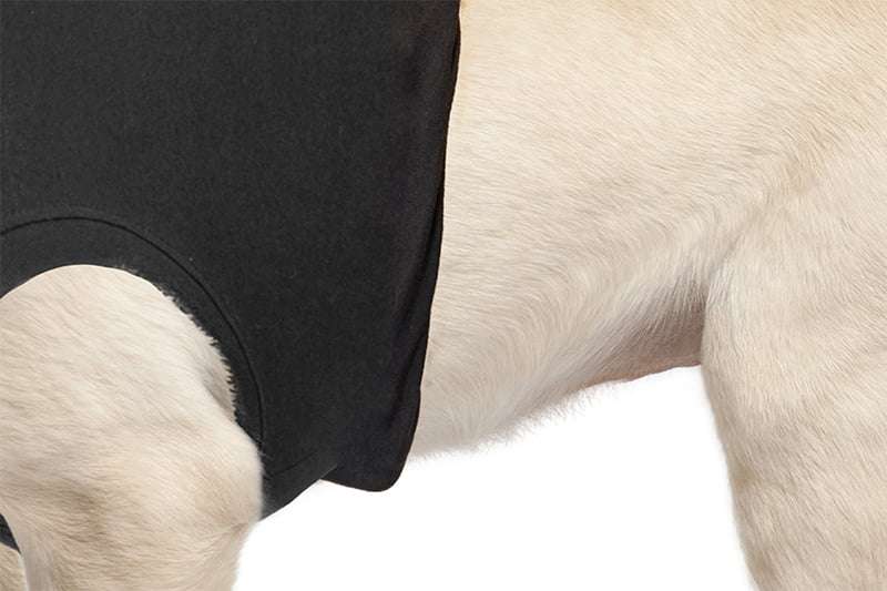 Suitical - At home Recovery Suit - DOG