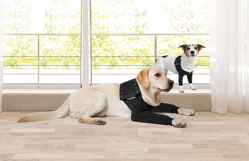 Suitical - at home Recovery Double Sleeve - DOG