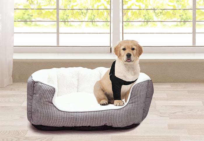 Suitical - at home Recovery Sleeve - DOG