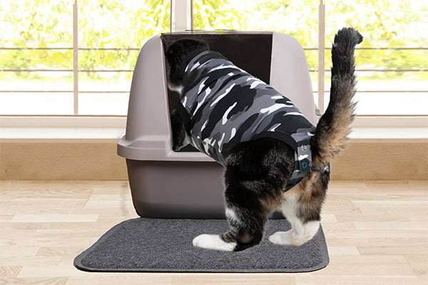 Suitical - at home Recovery Suit - CAT