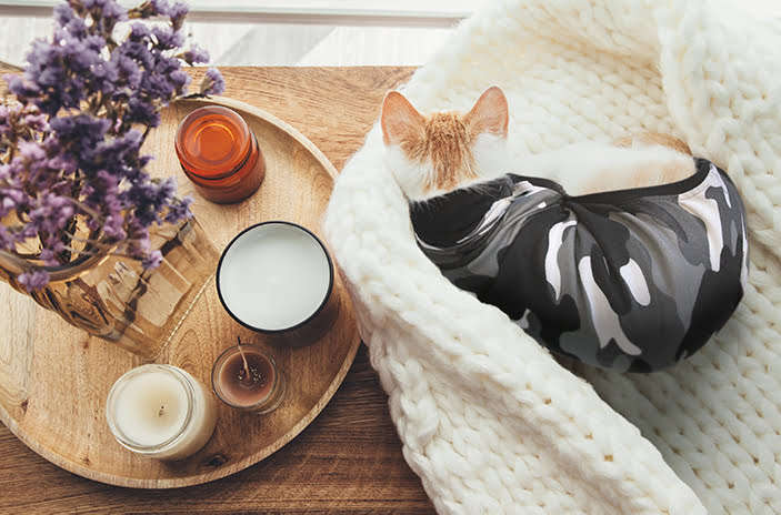 Suitical - at home Recovery Suit - CAT