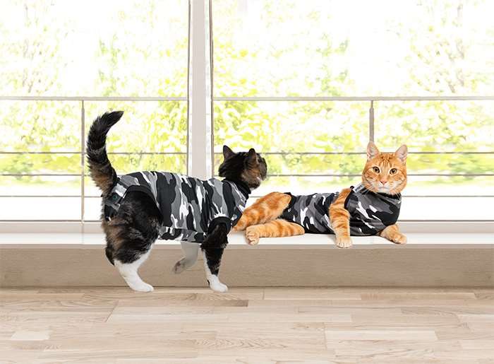 Suitical - at home Recovery Suit - CAT