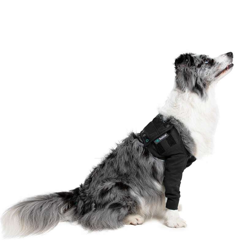 Suitical - at home Recovery Double Sleeve - DOG