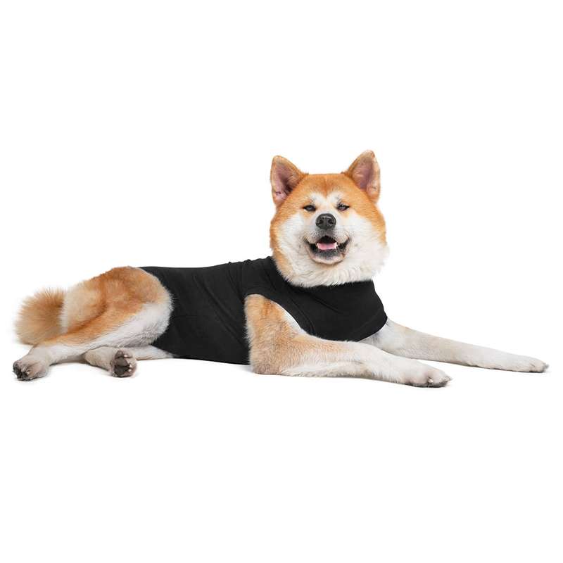 Suitical - At home Recovery Suit - DOG