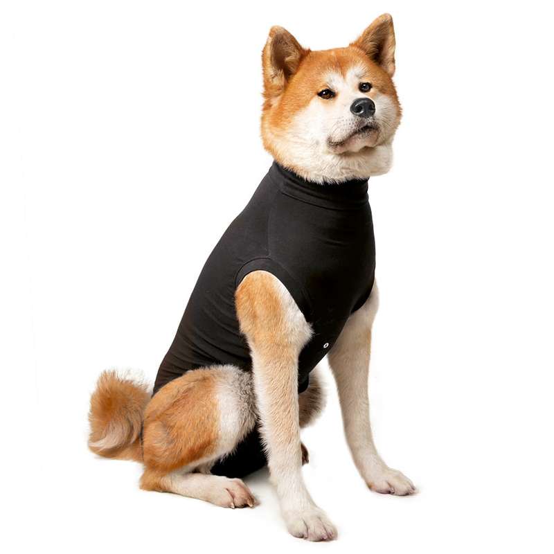 Suitical - At home Recovery Suit - DOG