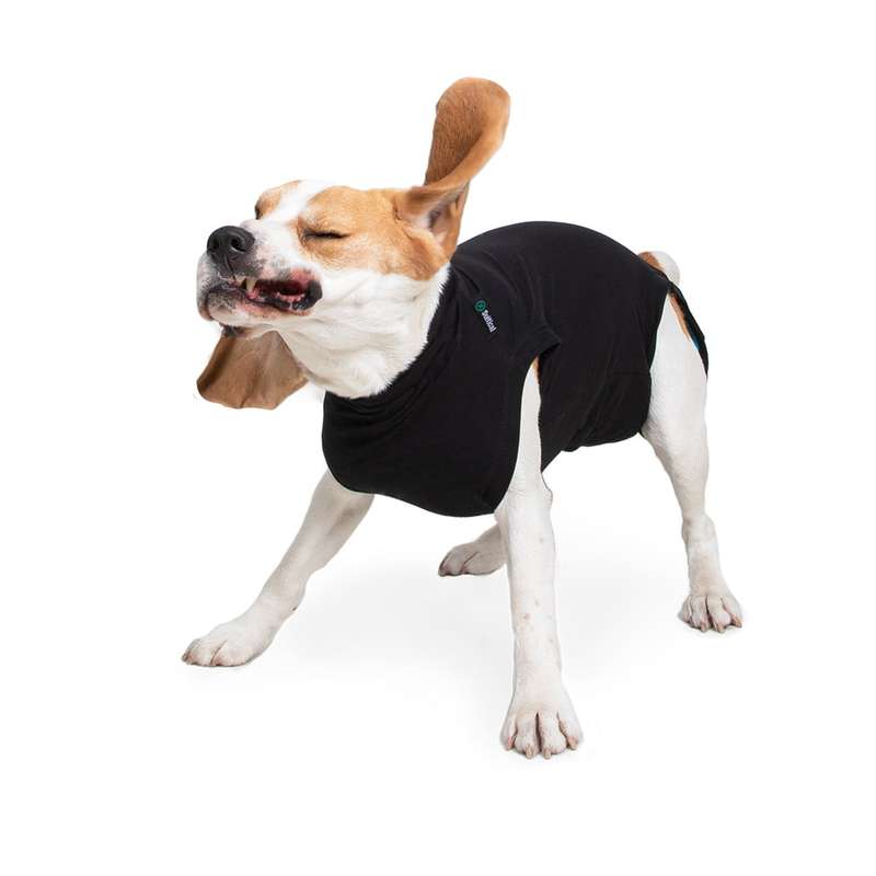 Suitical - At home Recovery Suit - DOG