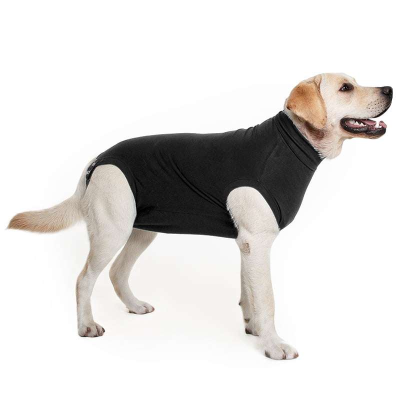 Suitical - At home Recovery Suit - DOG