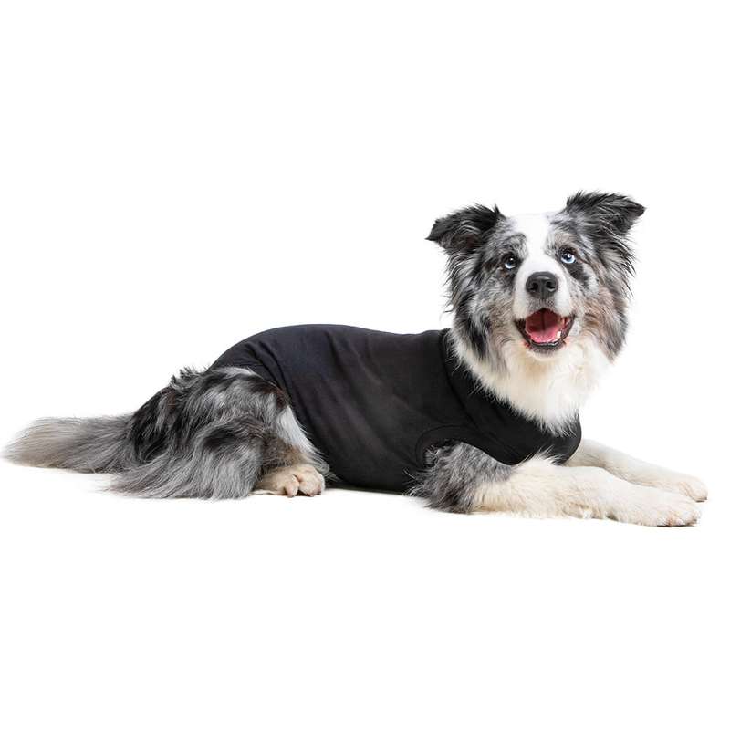 Suitical - At home Recovery Suit - DOG