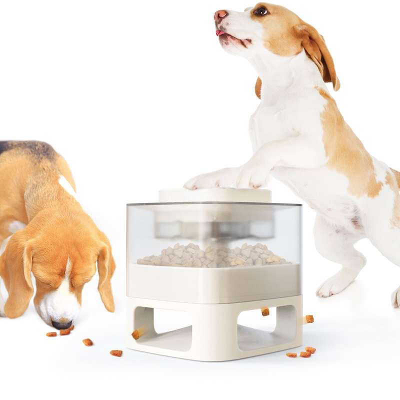 Press the Button Doggie Treat Dispenser