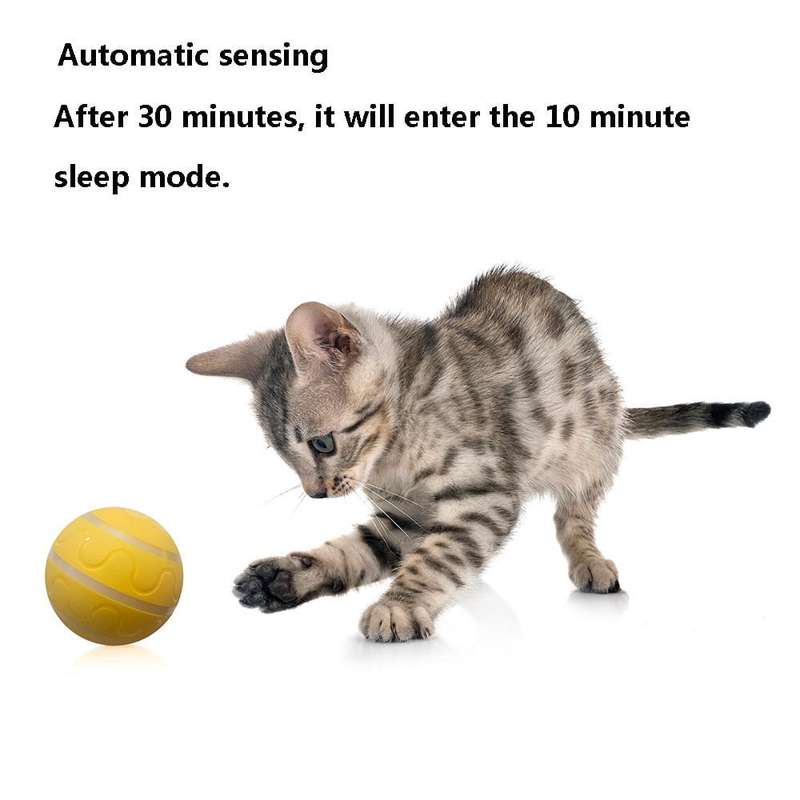 Whizz Ball - Remote Control Dog Ball