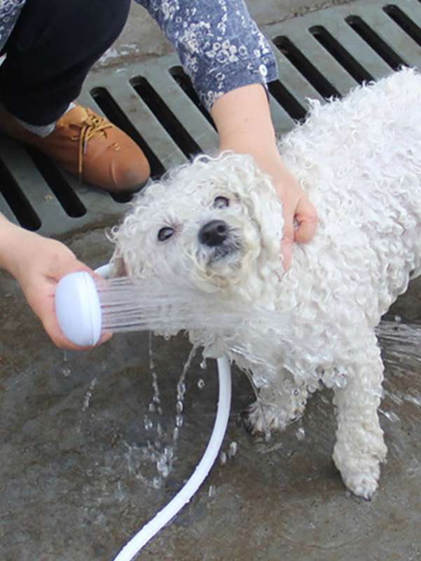 Handy Indoor Washer