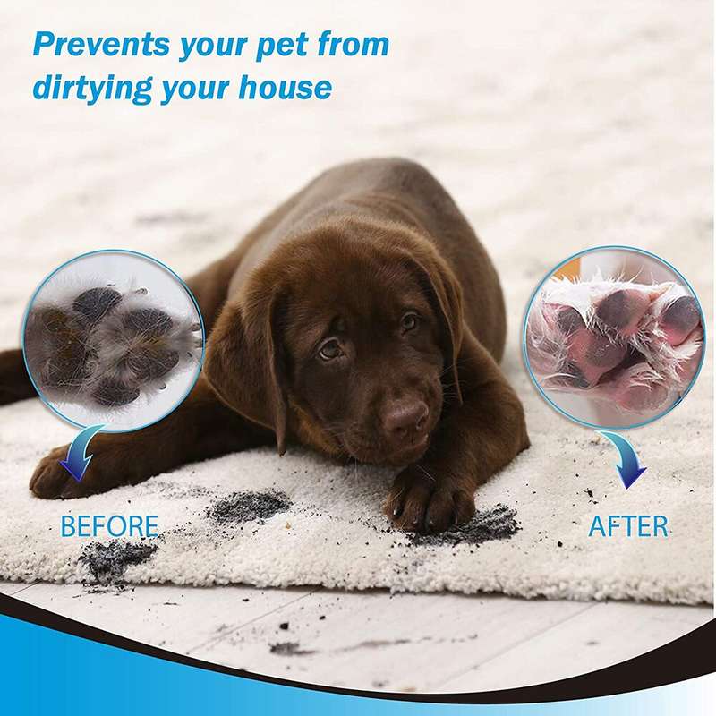 Handy Paw Washer