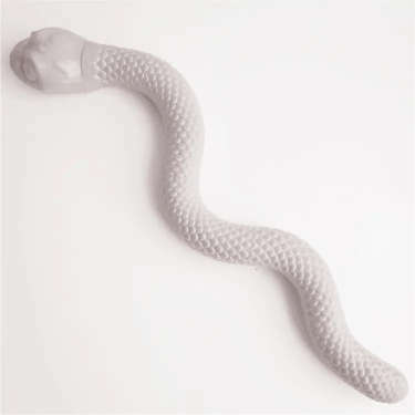 Snacky Squeaky Snake