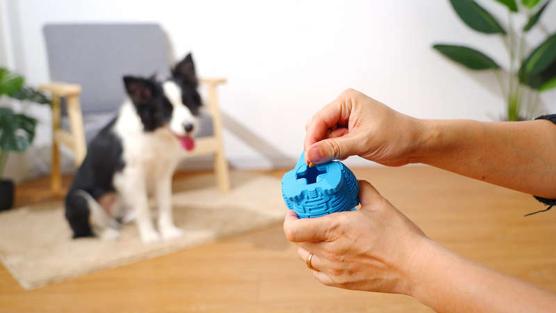 DinoTuff Rugged Dental Chew