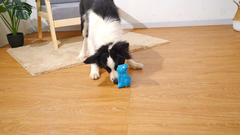 DinoTuff Rugged Dental Chew