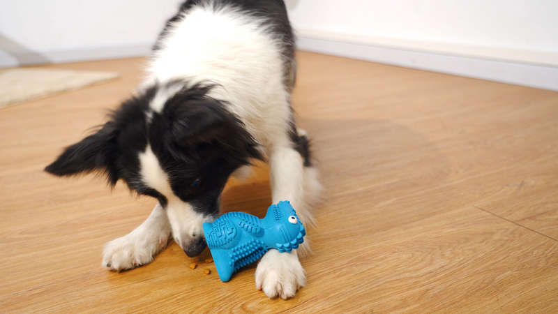 DinoTuff Rugged Dental Chew