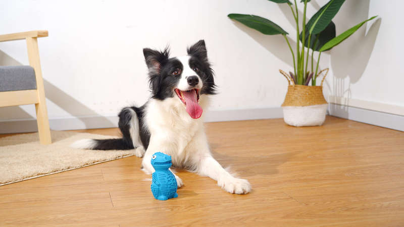 DinoTuff Rugged Dental Chew