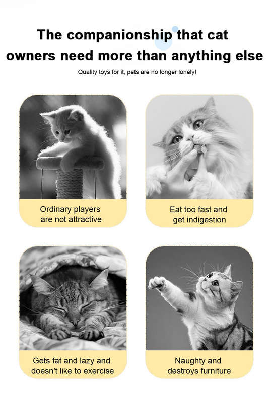 SpringPounce Pro