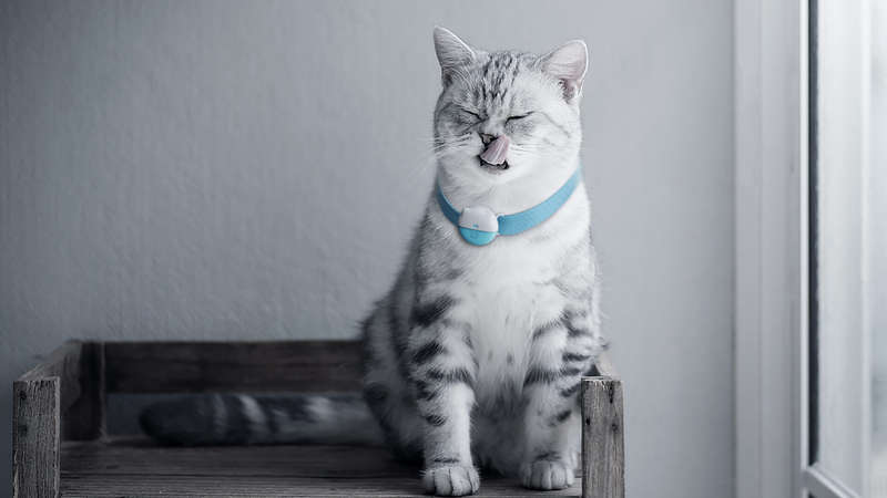 Agile Pro GPS Pet Tracker