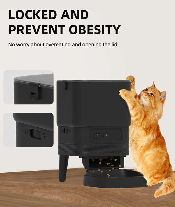 Elegant Connected Auto Feeder