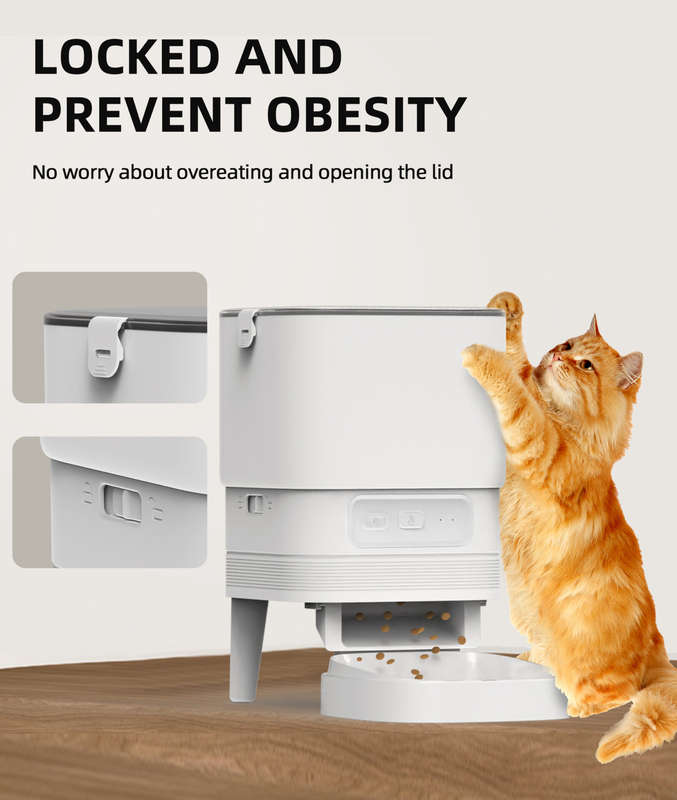 Elegant Connected Auto Feeder
