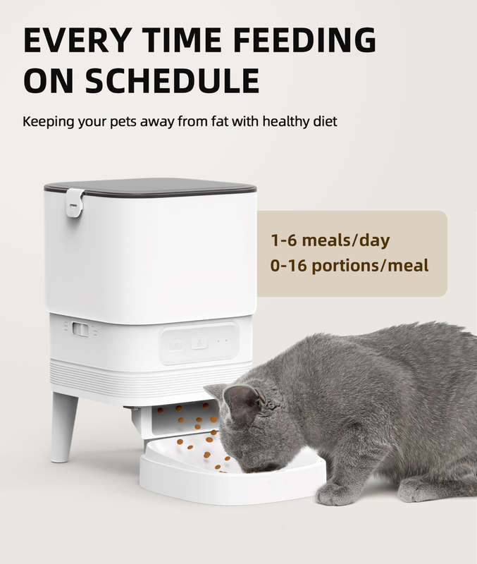Elegant Connected Auto Feeder