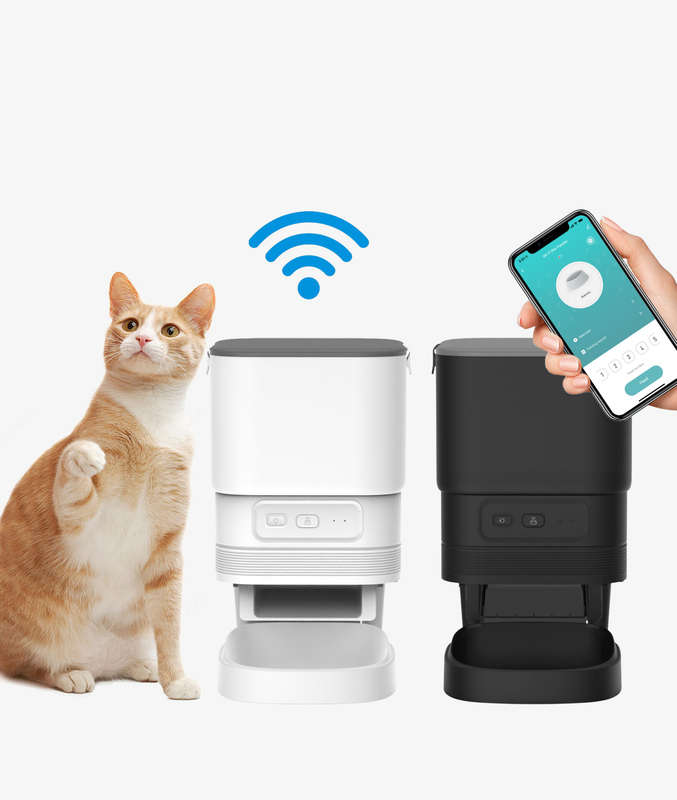 Elegant Connected Auto Feeder