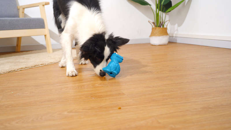 DinoTuff Rugged Dental Chew