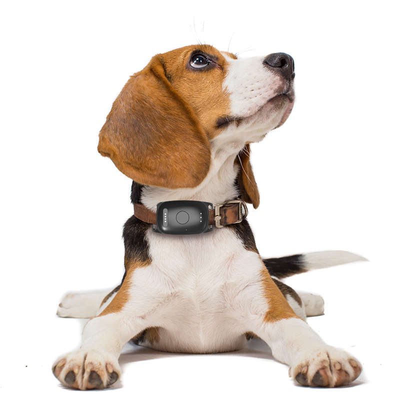 Infinity Pro GPS Pet Tracker
