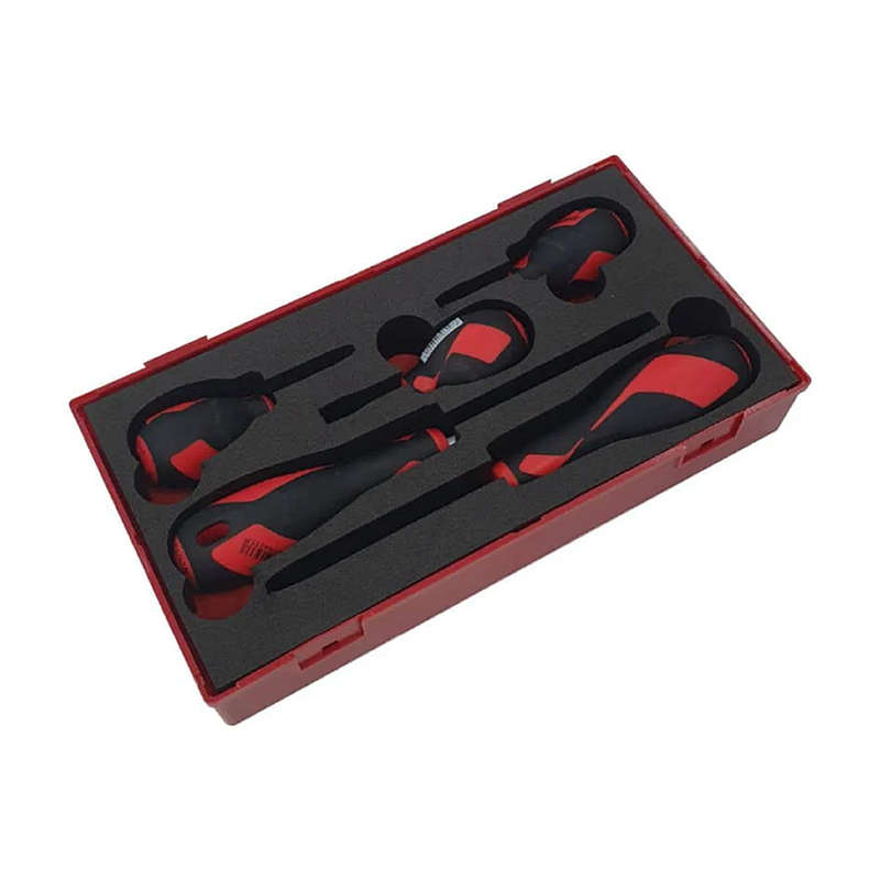 5PC Screwdriver Set in EVA - TEA905N
