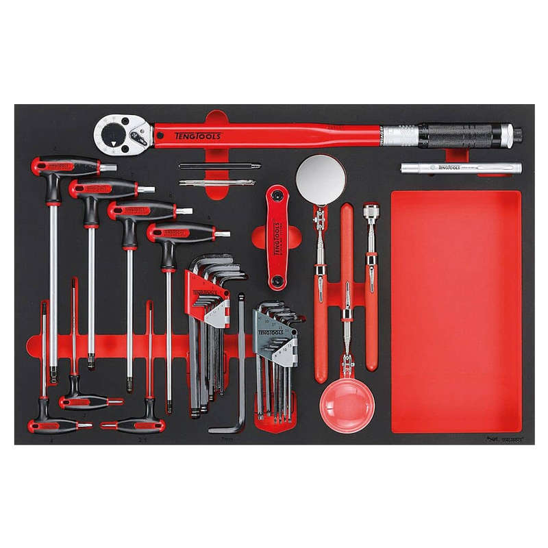 Teng Tools 17 Piece Hexagon Key, 1/2 Inch Drive Torque Wrench and Inspection Tool Set - TTEX17, S...