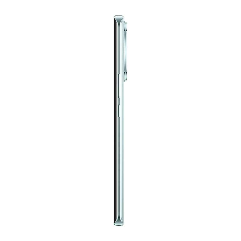 vivo V30e 5G Dual Sim 256G - Sunny Green