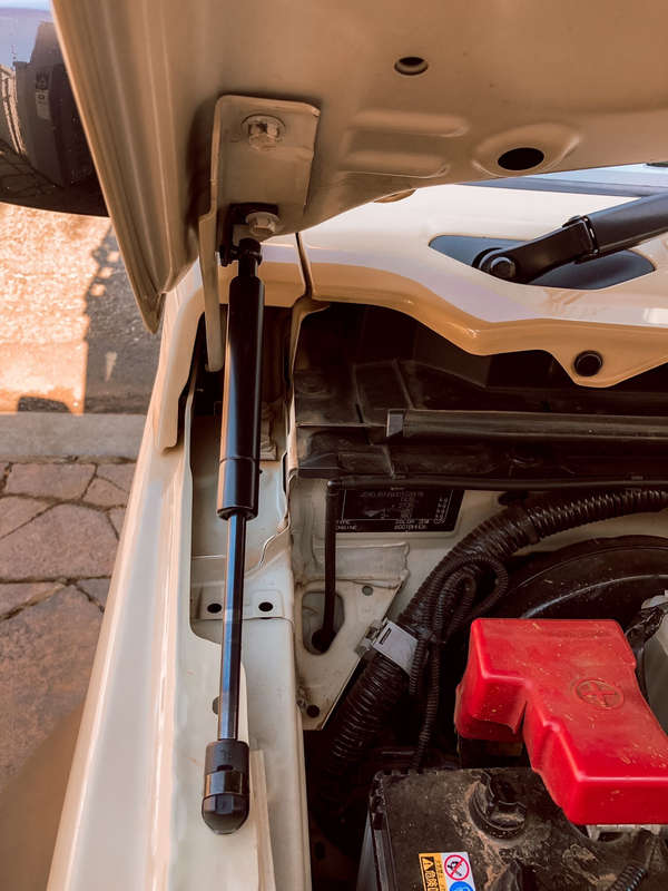 Suzuki Jimny Gas Struts For The Bonnet (Sold as a pair) 2019-