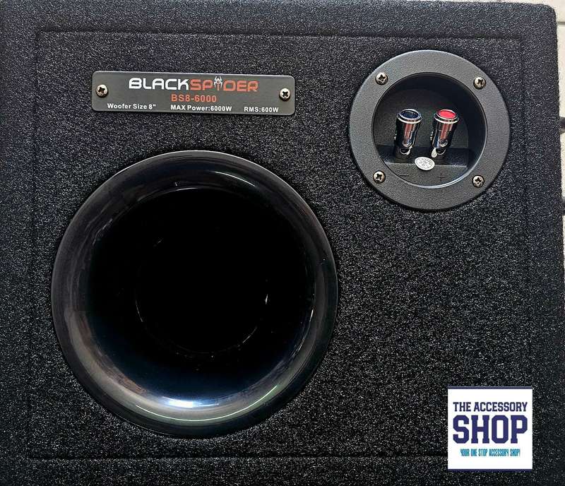 Black Spider 8 inch 6000w sub in ported box