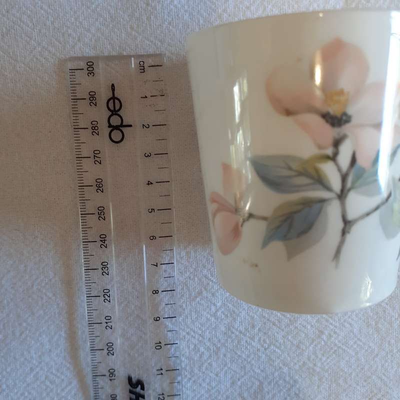 Coffee mugs - 2 demi tasse - Royal Adderley - Ophelia design floral