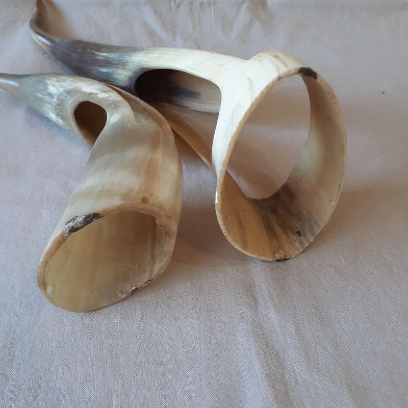 Horn birds - Vintage carved cow horn stylized birds