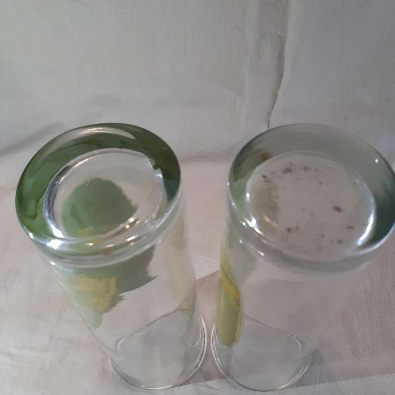 Vintage Girlie Bar Glasses Nude (with added stars) 2 glasses